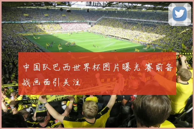 中国队巴西世界杯图片曝光 赛前备战画面引关注